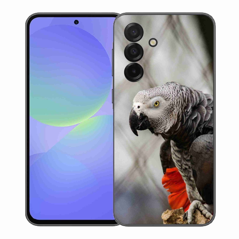 Gél borítás mmCase Samsung Galaxy A37 5G - papagáj jacco 3
