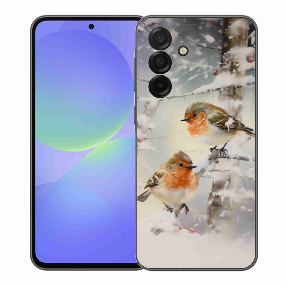 Gél borítás mmCase Samsung Galaxy A37 5G - madarak télen