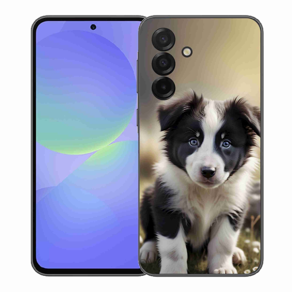 Gél borító mmCase Samsung Galaxy A37 5G - aranyos border collie - Samsung Galaxy A37 5G számára