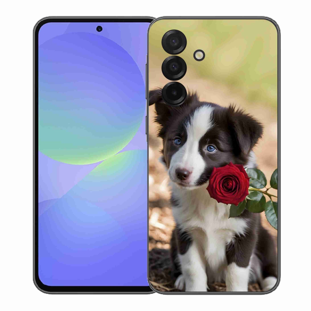 Gél borítás mmCase Samsung Galaxy A37 5G - aranyos border collie rózsával