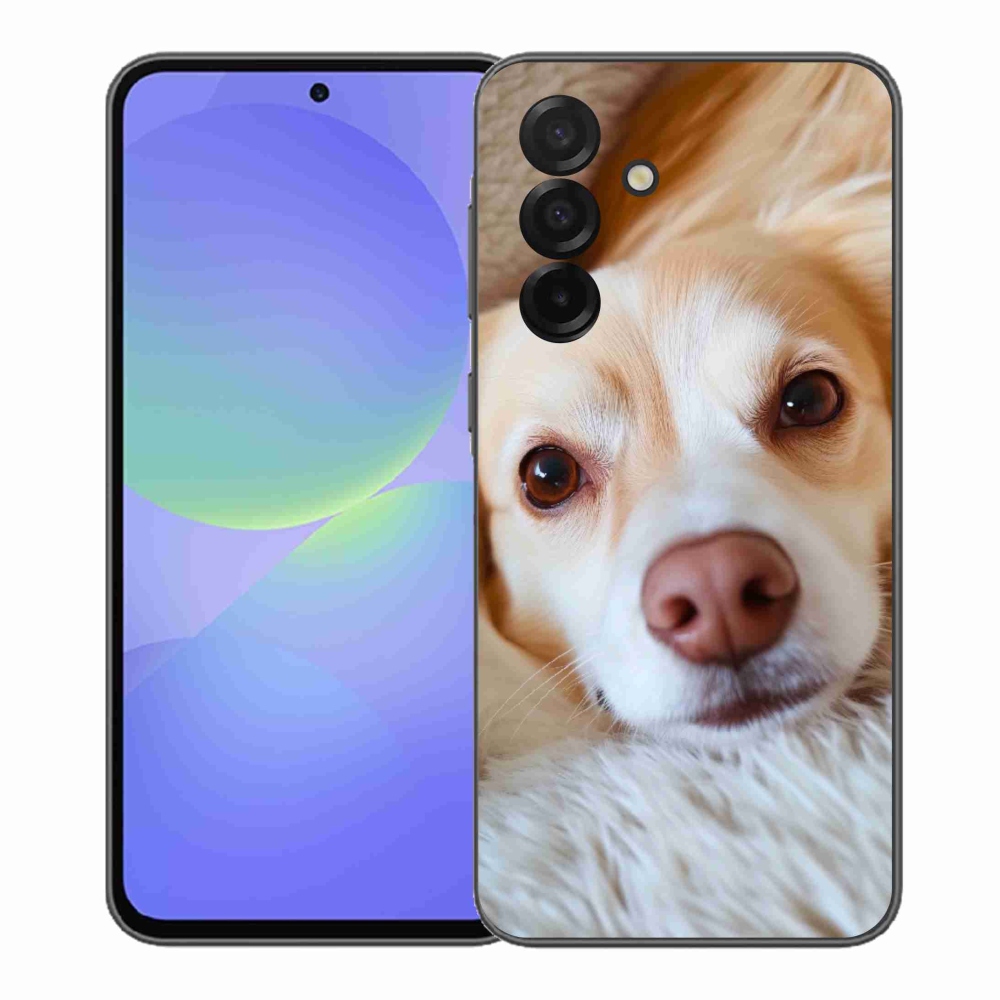 Gél védőhuzat mmCase Samsung Galaxy A37 5G - Aranyos csivava