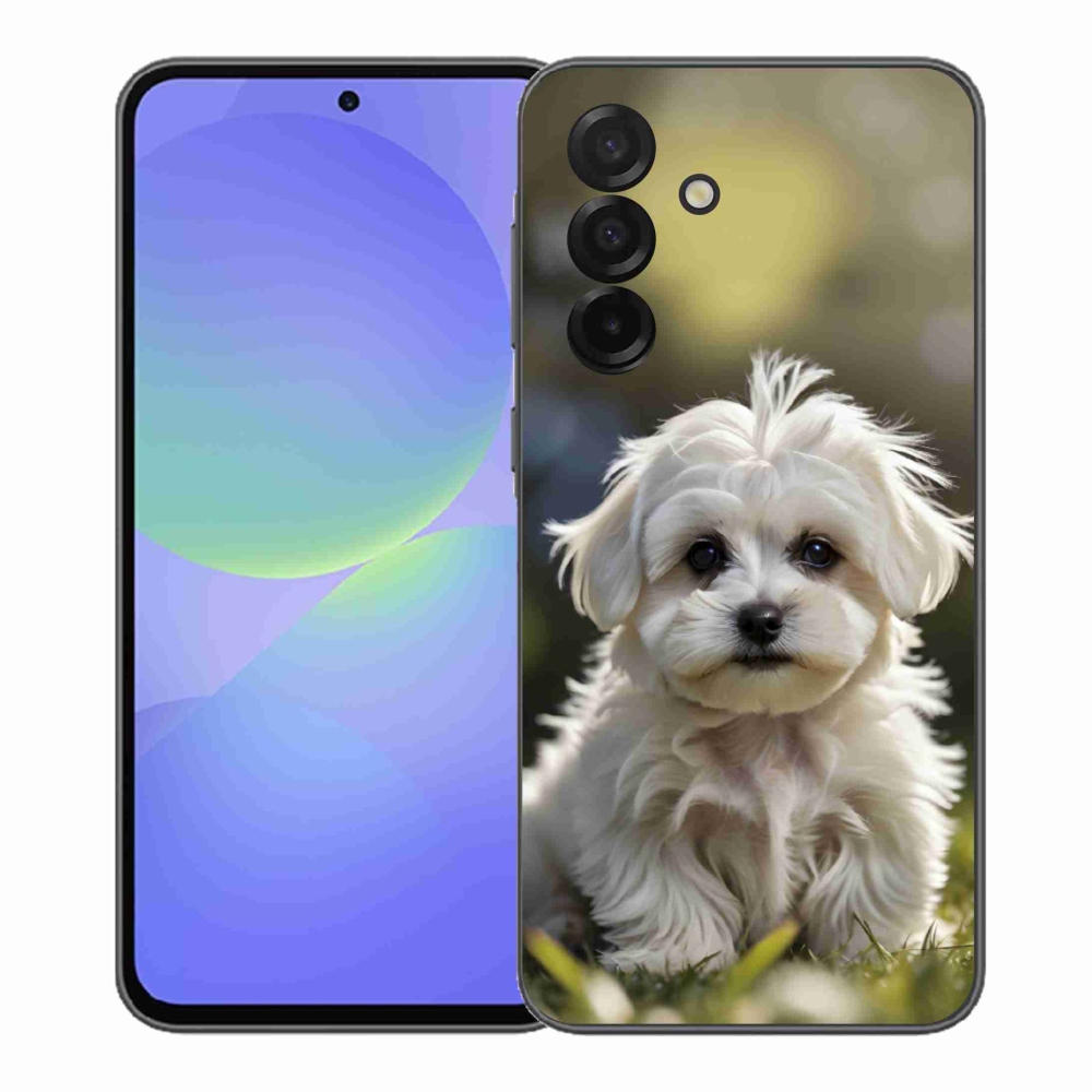 Gél borítás mmCase Samsung Galaxy A37 5G - aranyos máltai kutya