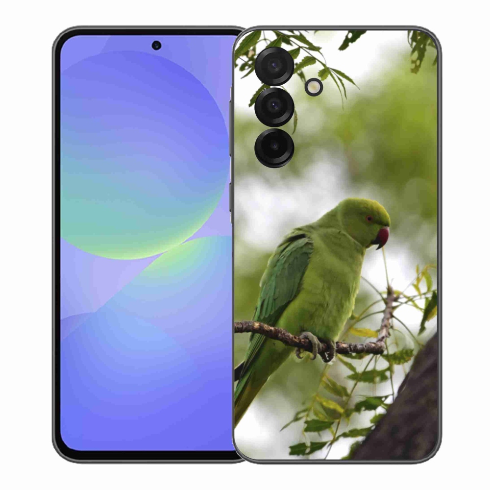 Zselés borítás mmCase Samsung Galaxy A37 5G - zöld papagáj