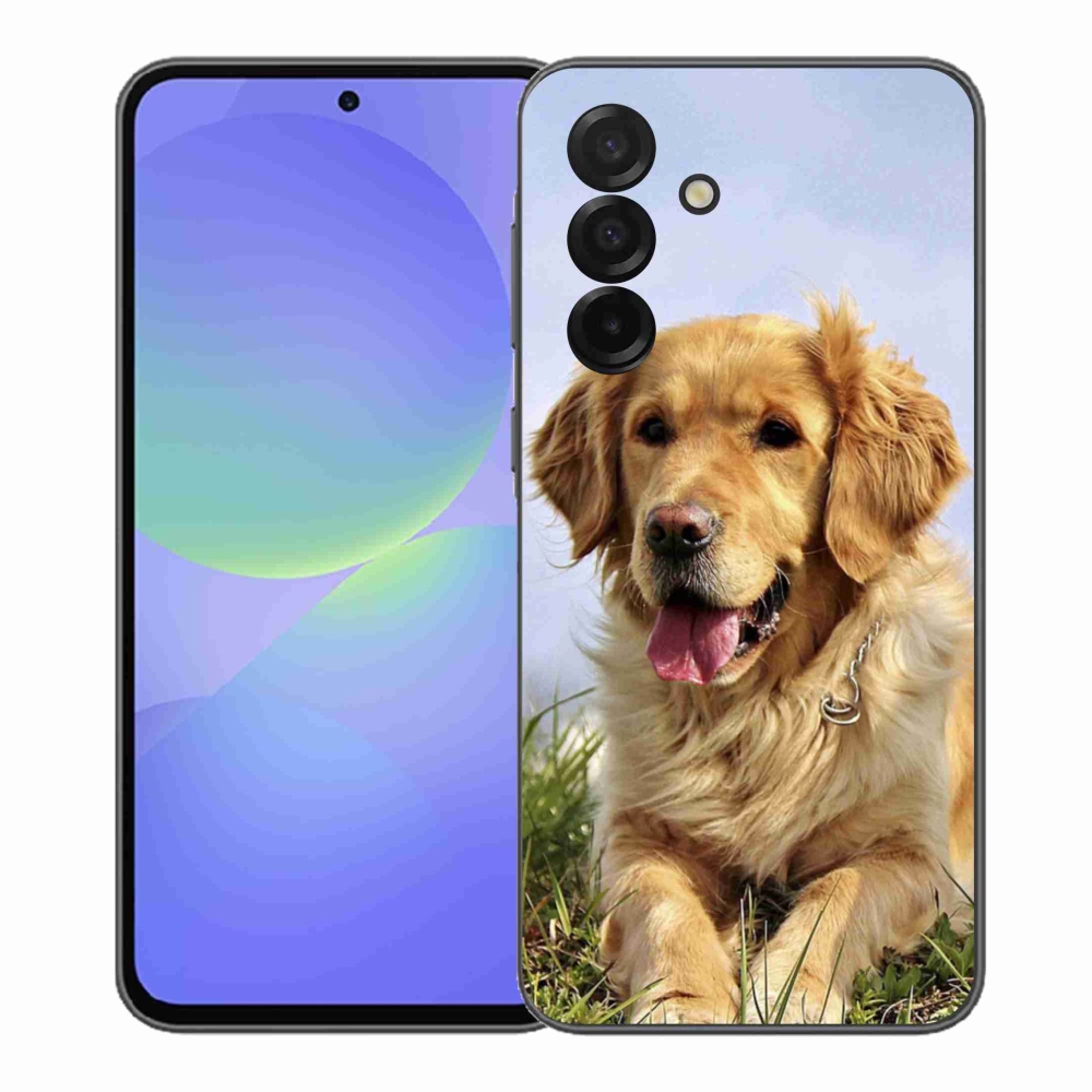 Gél borító mmCase Samsung Galaxy A37 5G - arany retrieverhez