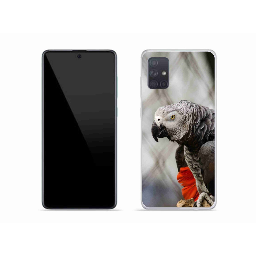 Zselés borítás mmCase Samsung Galaxy A51 - papagáj jacko 3