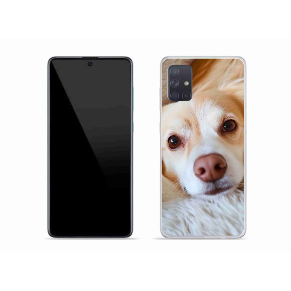 Gél borítás mmCase Samsung Galaxy A51 készülékhez - Aranyos csivava