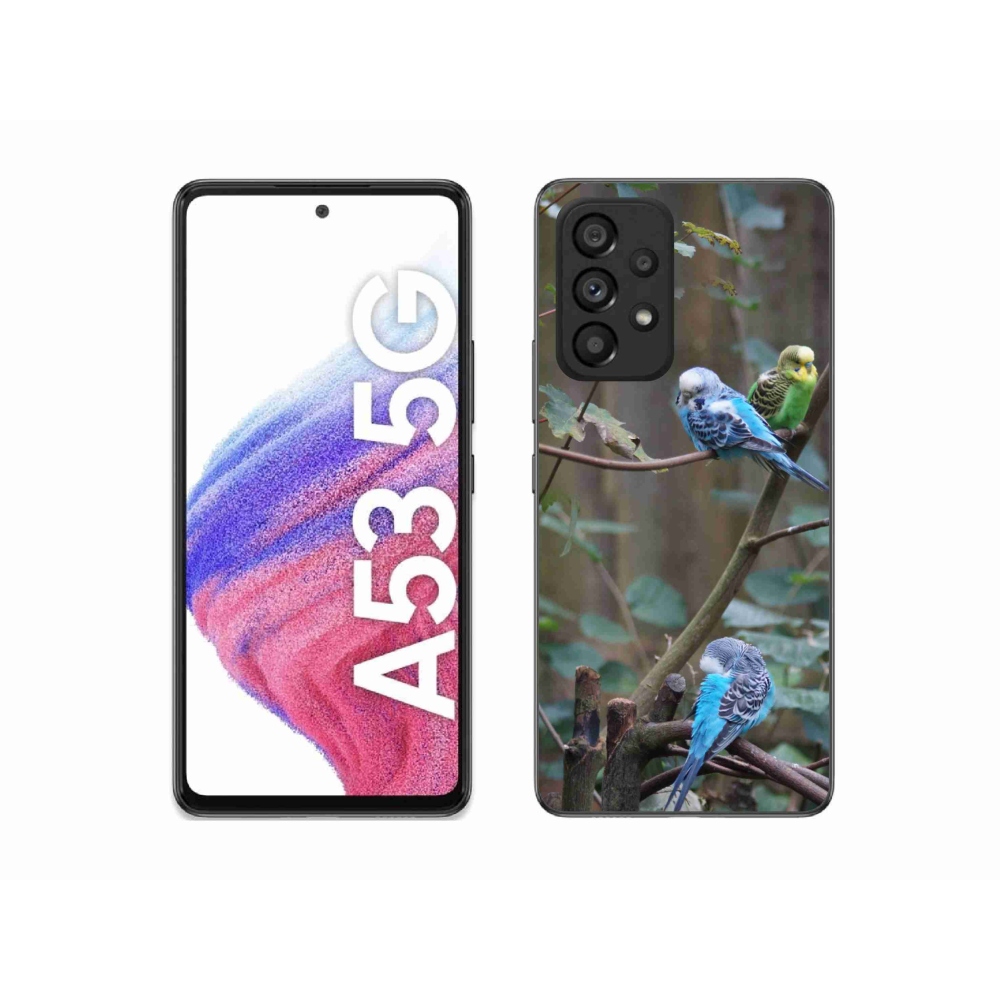 Gél borítás mmCase Samsung Galaxy A53 5G - papagájok az ágon