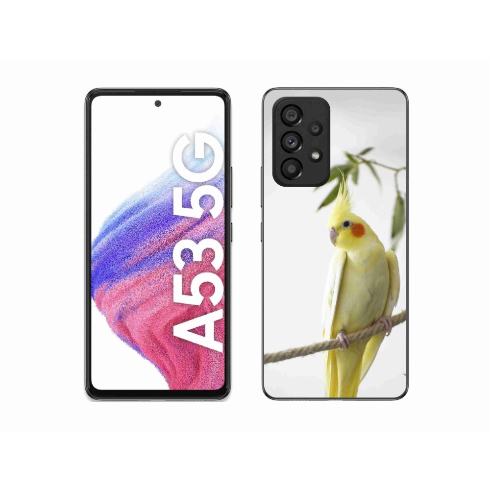 Gél borítás mmCase Samsung Galaxy A53 5G - papagáj korela chocholatá