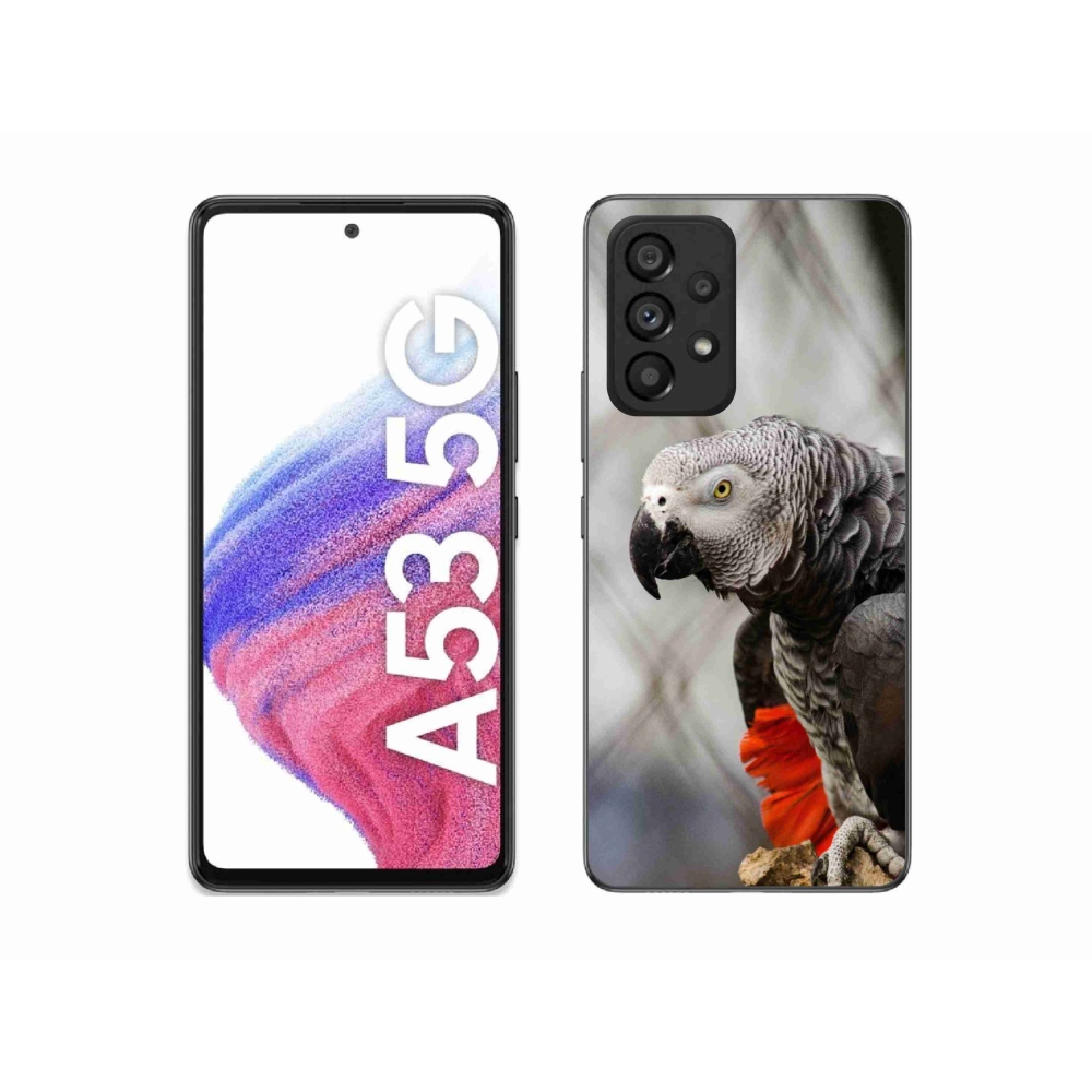 Zselés borítás mmCase Samsung Galaxy A53 5G - papagáj jacco 3