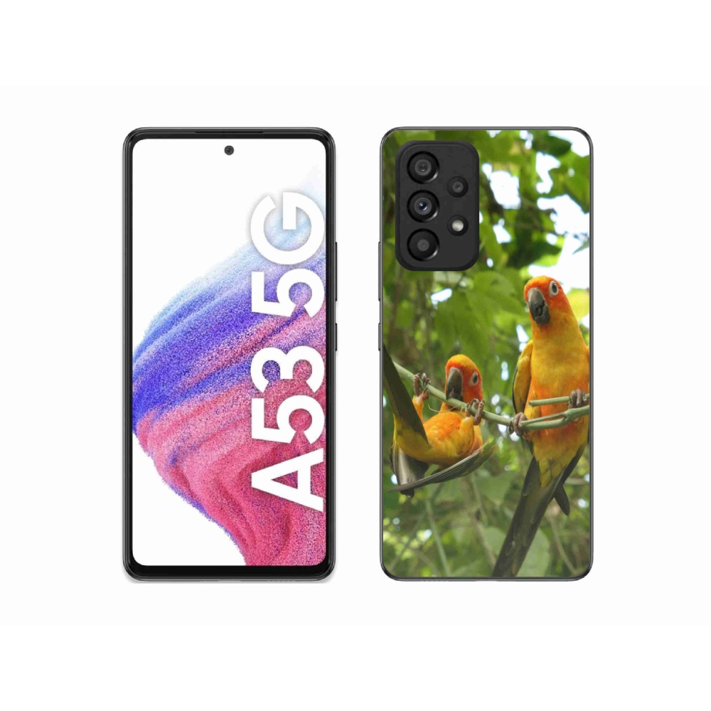 Gél borítás mmCase Samsung Galaxy A53 - papagájok aratingy