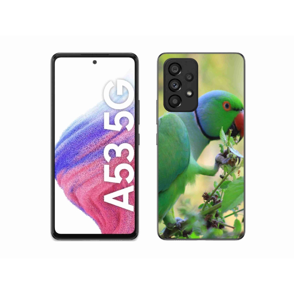 Gél borítás mmCase Samsung Galaxy A53 készülékhez - papagáj alexandr