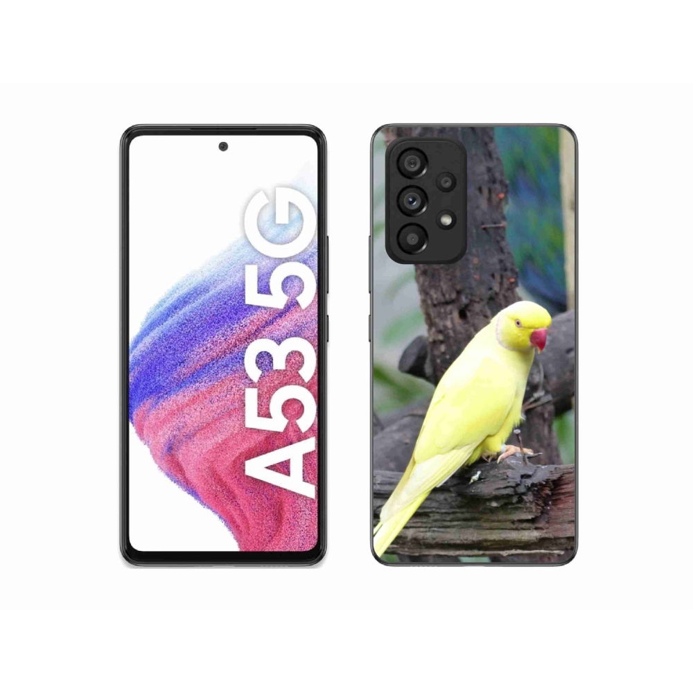 Zselés borítás mmCase Samsung Galaxy A53 készülékhez - papagáj alexander sárga