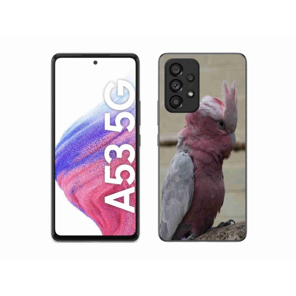 Zselés borítás mmCase Samsung Galaxy A53 készülékhez - papagáj kakadu rózsaszínű