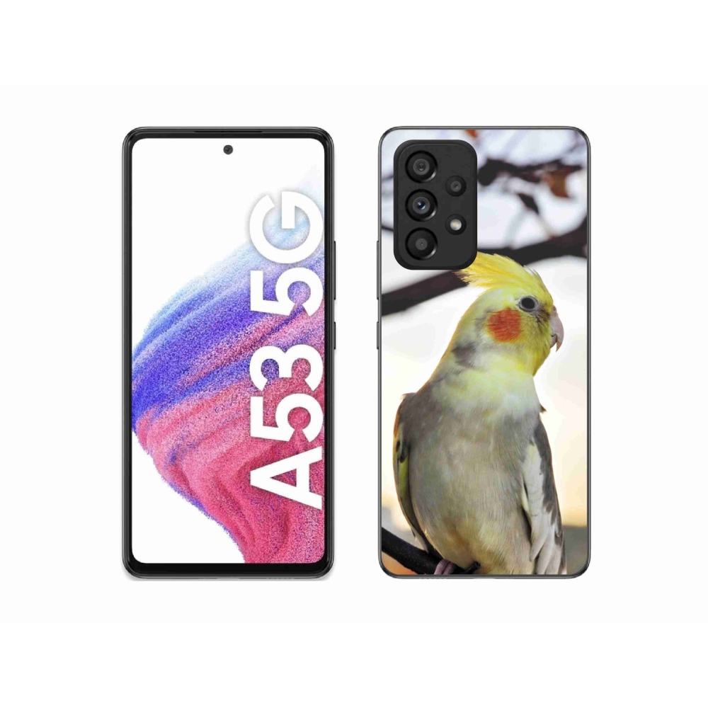Gél borítás mmCase Samsung Galaxy A53 készülékhez - papagáj korela