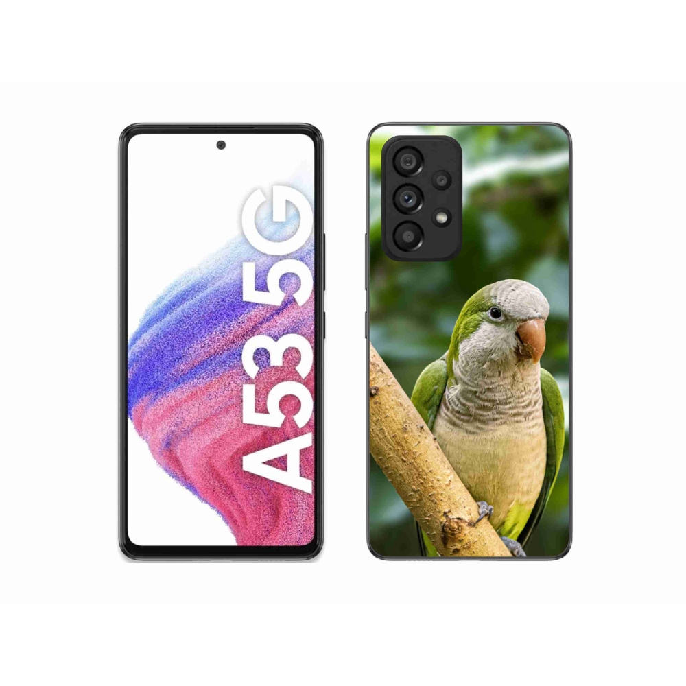 Zselés borítás mmCase Samsung Galaxy A53 készülékhez - papagáj