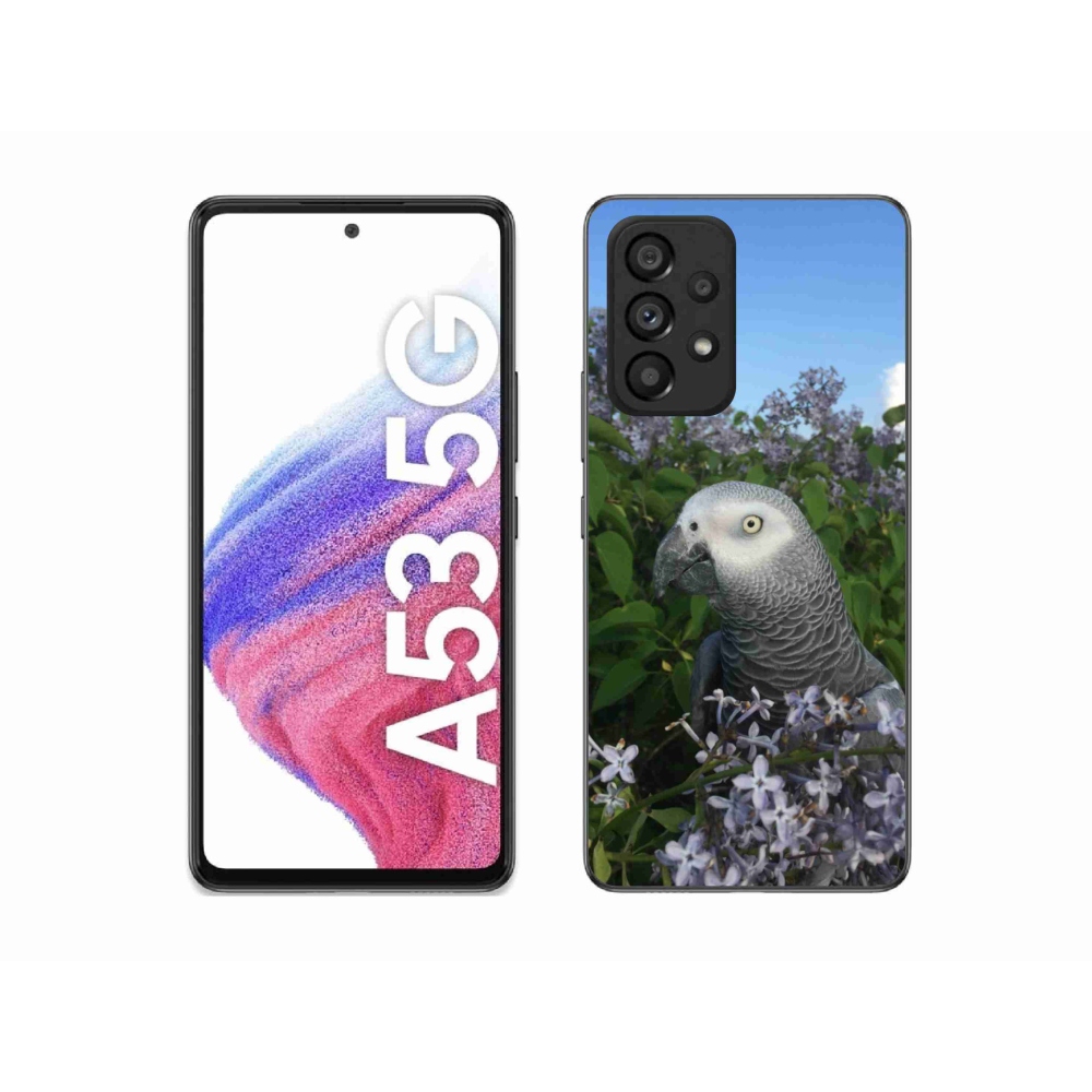 Gél borítás mmCase Samsung Galaxy A53 készülékhez - papagáj jacco