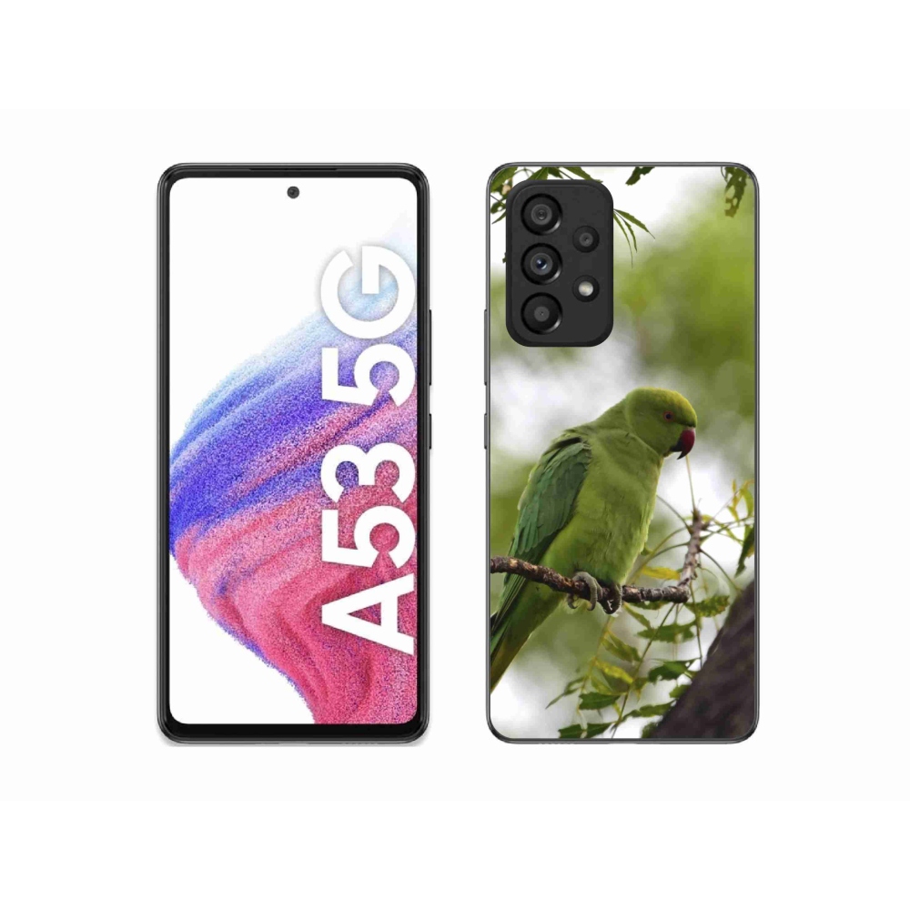 Zselés borítás mmCase Samsung Galaxy A53 készülékhez - zöld papagáj