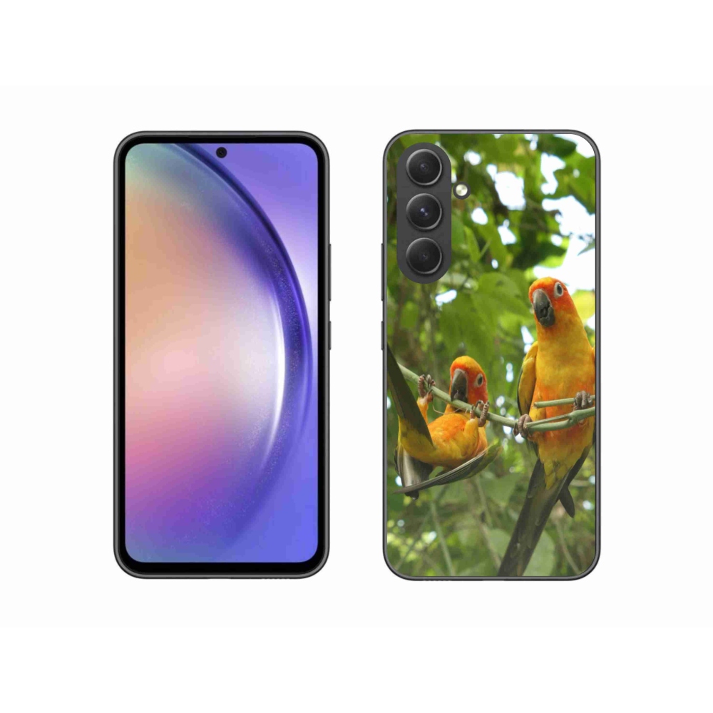 Gél borítás mmCase Samsung Galaxy A54 5G - papagájok aratingy