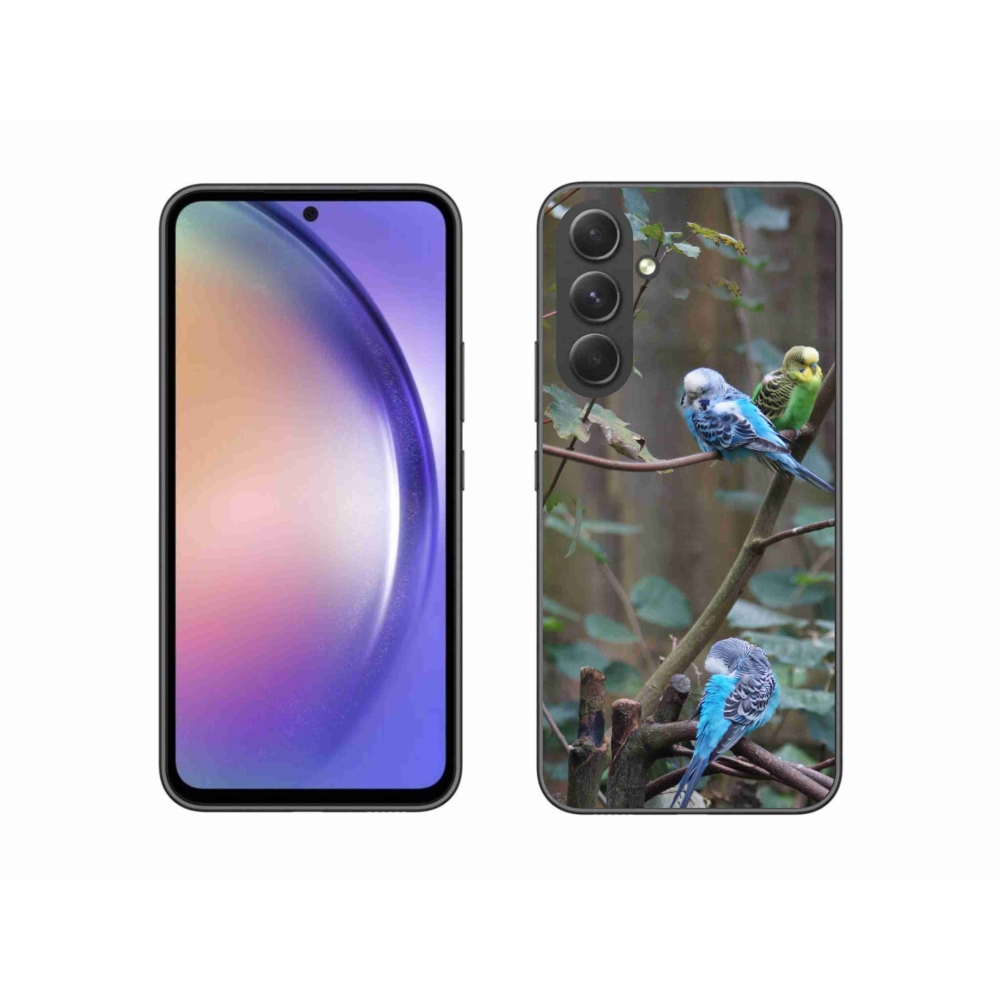 Zselés borító mmCase Samsung Galaxy A54 5G - papagájok az ágon