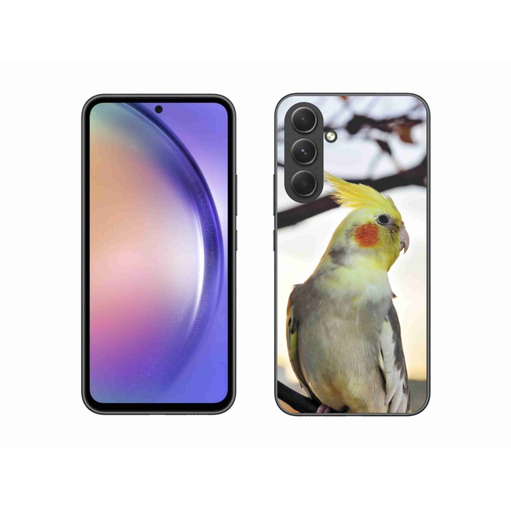 Gél borítás mmCase Samsung Galaxy A54 5G - papagáj korela
