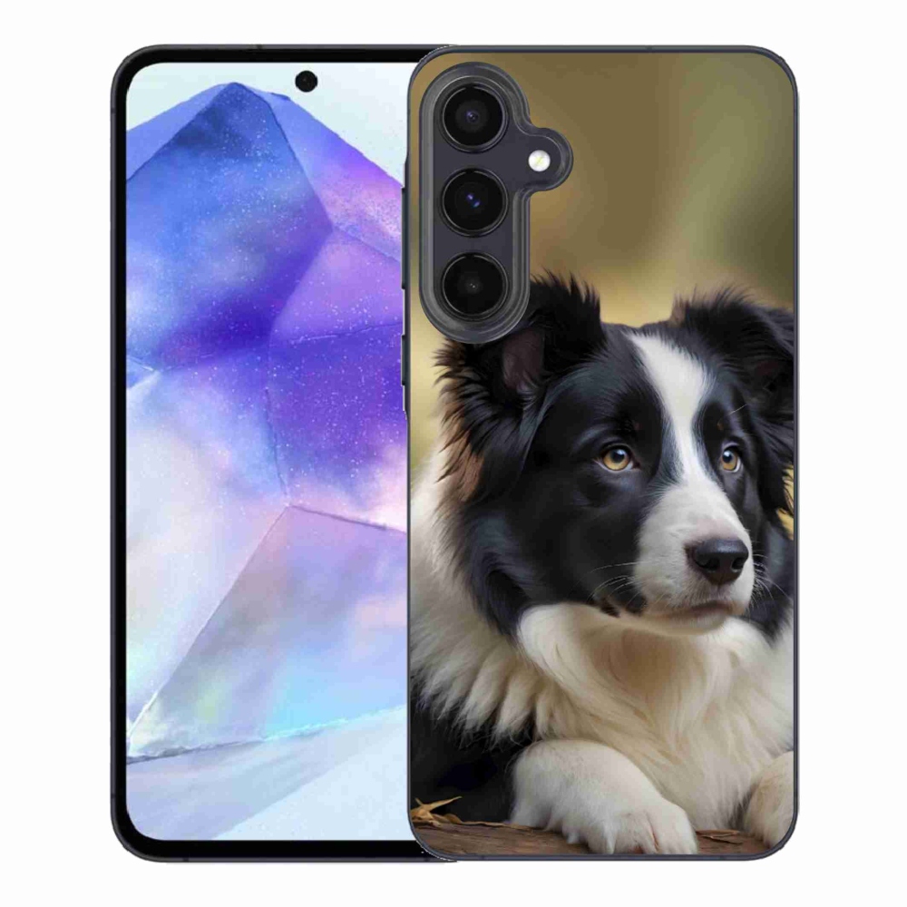 Gél borítás mmCase Samsung Galaxy A55 5G - border colie 2