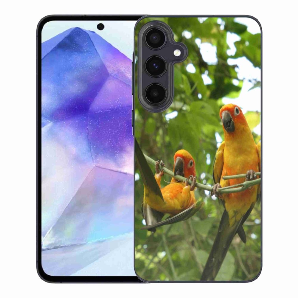Gél borítás mmCase Samsung Galaxy A55 5G - papagájok aratingy