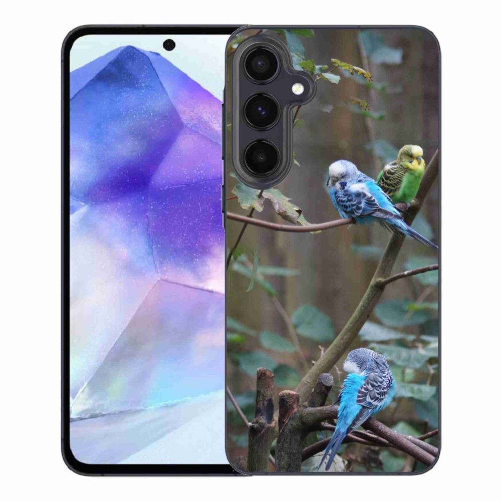 Zselés borító mmCase Samsung Galaxy A55 5G - papagájok az ágon