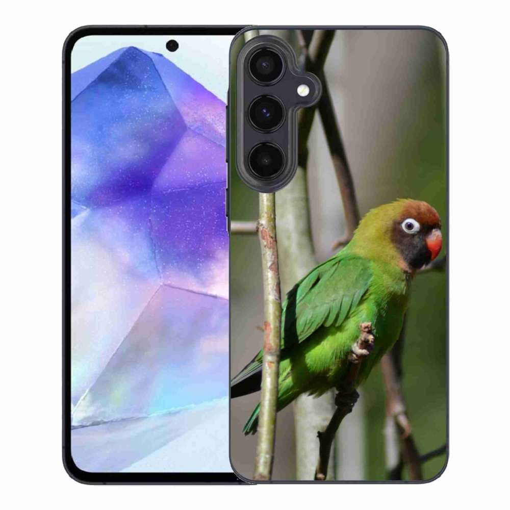 Gél borítás mmCase Samsung Galaxy A55 5G - papagáj agapornis
