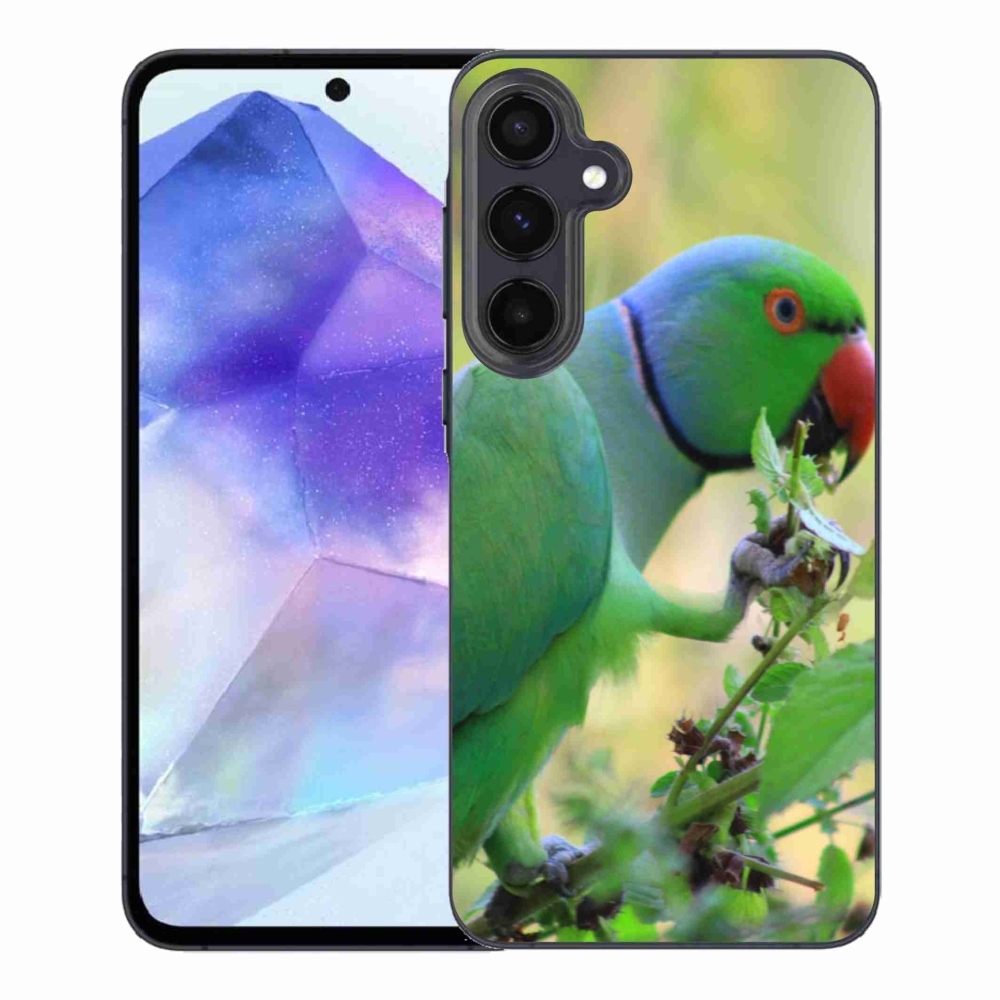 Zselés borítás mmCase Samsung Galaxy A55 5G - papagáj alexandr