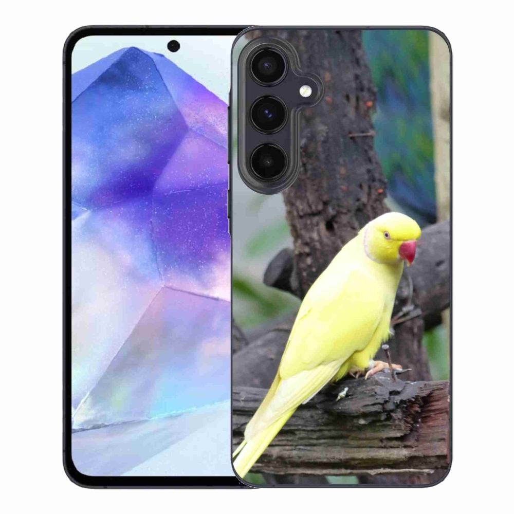 Zselés borítás mmCase Samsung Galaxy A55 5G - papagáj alexander sárga