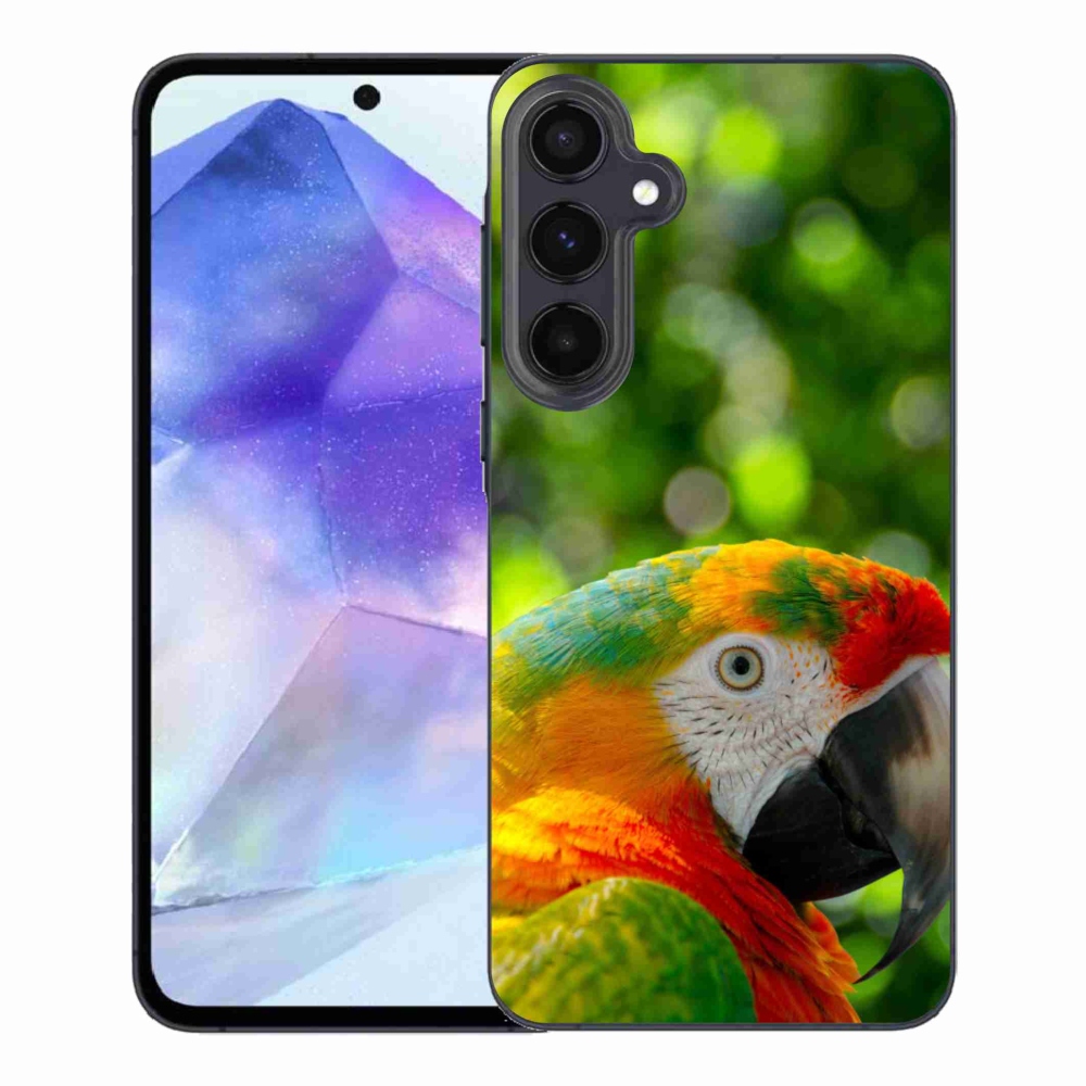 Gél borítás mmCase Samsung Galaxy A55 5G - papagáj ara 3