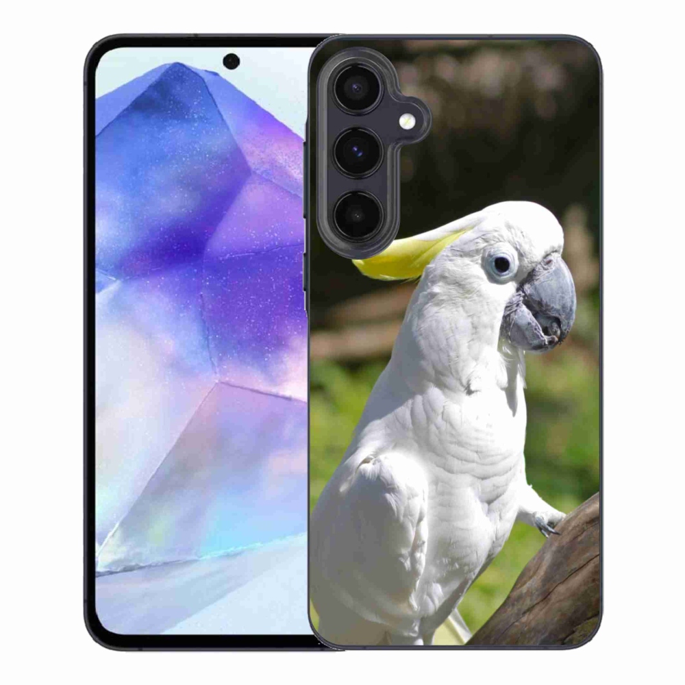 Gél borítás mmCase Samsung Galaxy A55 5G - papagáj kakadu 2