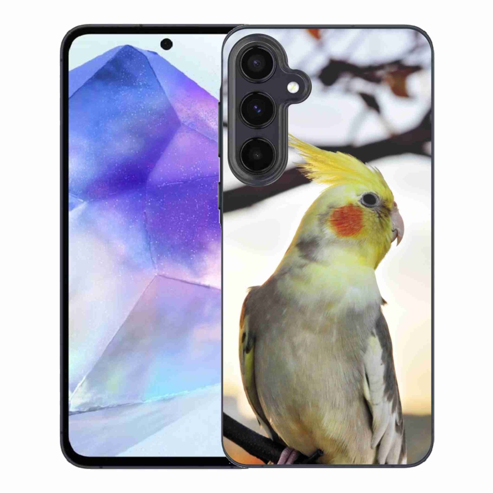 Gél borító mmCase Samsung Galaxy A55 5G - papagáj korela