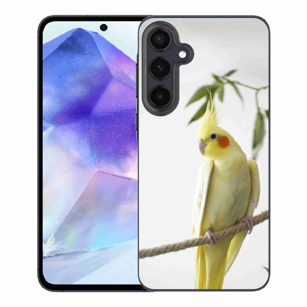 Gél borító mmCase Samsung Galaxy A55 5G - papagáj korela chocholatá