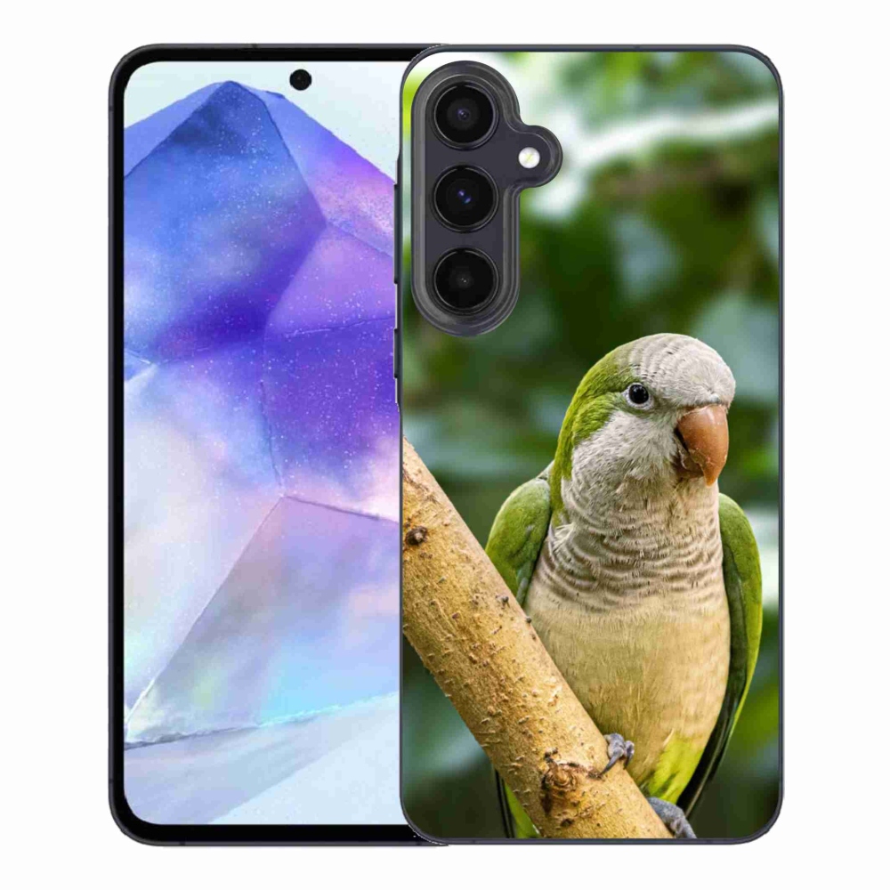 Gél védőhuzat mmCase Samsung Galaxy A55 5G - papagáj
