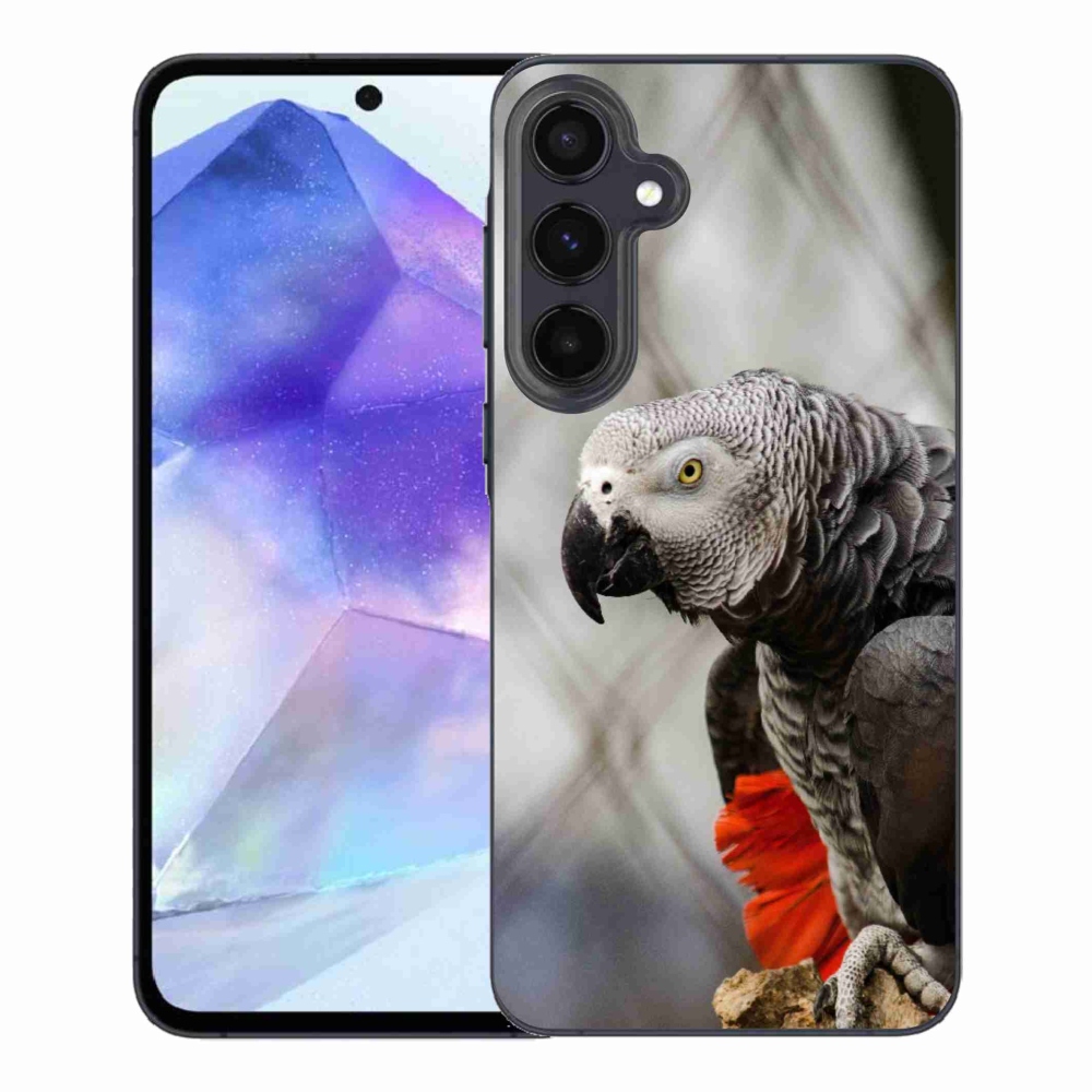 Gél borítás mmCase Samsung Galaxy A55 5G - papagáj jacco 3