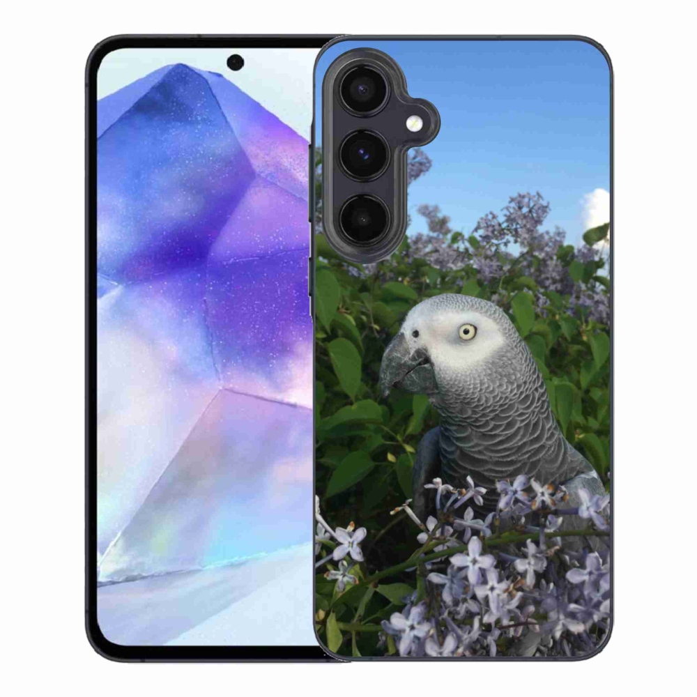 Gél borítás mmCase Samsung Galaxy A55 5G készülékhez - papagáj jacco