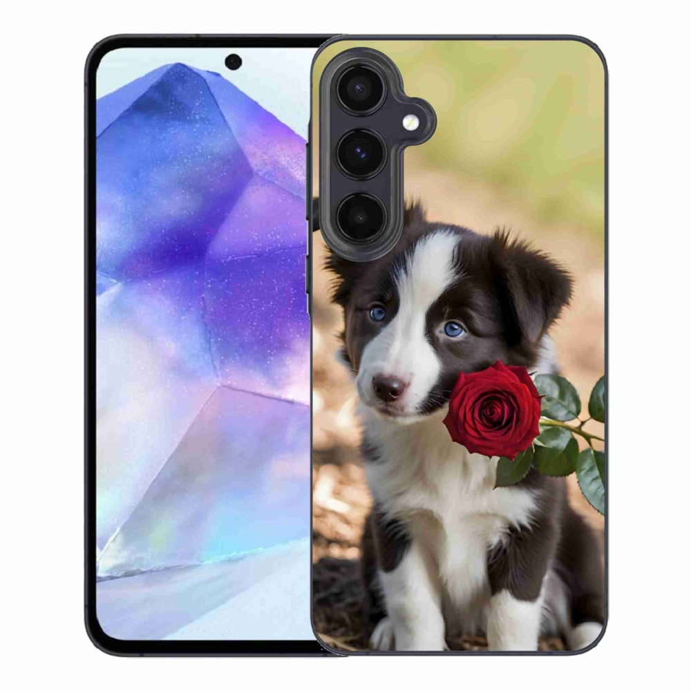 Gél borítás mmCase Samsung Galaxy A55 5G - aranyos border collie rózsával