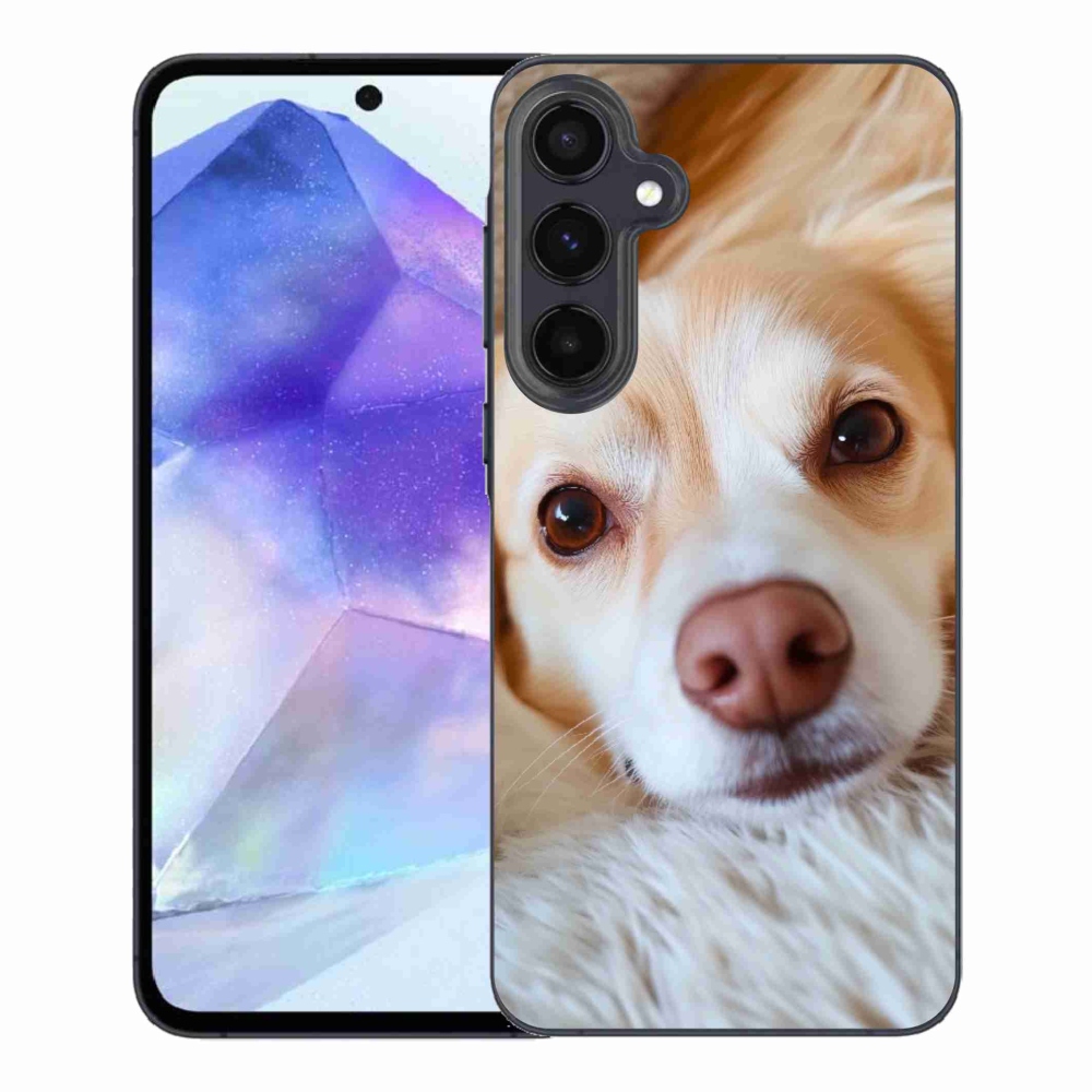 Gél védőhuzat mmCase Samsung Galaxy A55 5G - Aranyos csivava