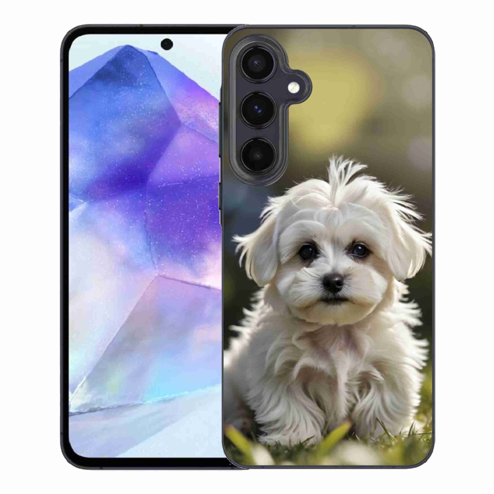 Gél borítás mmCase Samsung Galaxy A55 5G - aranyos máltai kutya