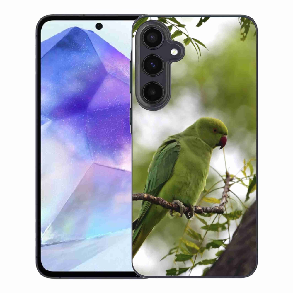 Zselés borítás mmCase Samsung Galaxy A55 5G - zöld papagáj