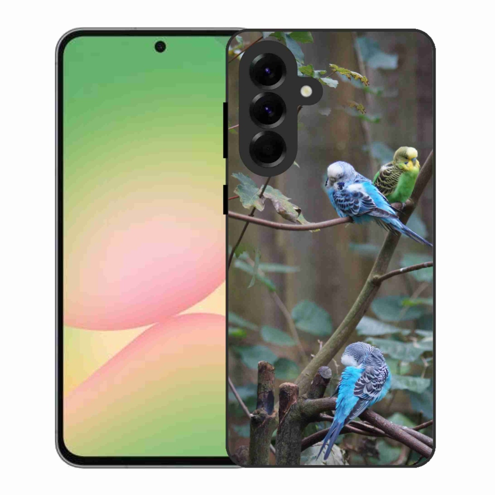 Zselés borító mmCase Samsung Galaxy A56 5G - papagájok az ágon