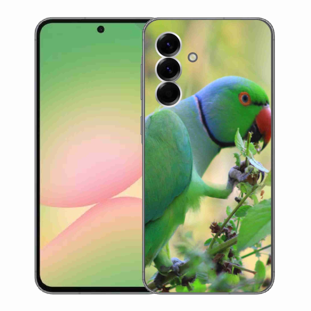 Gél borítás mmCase Samsung Galaxy A56 5G - papagáj alexandr