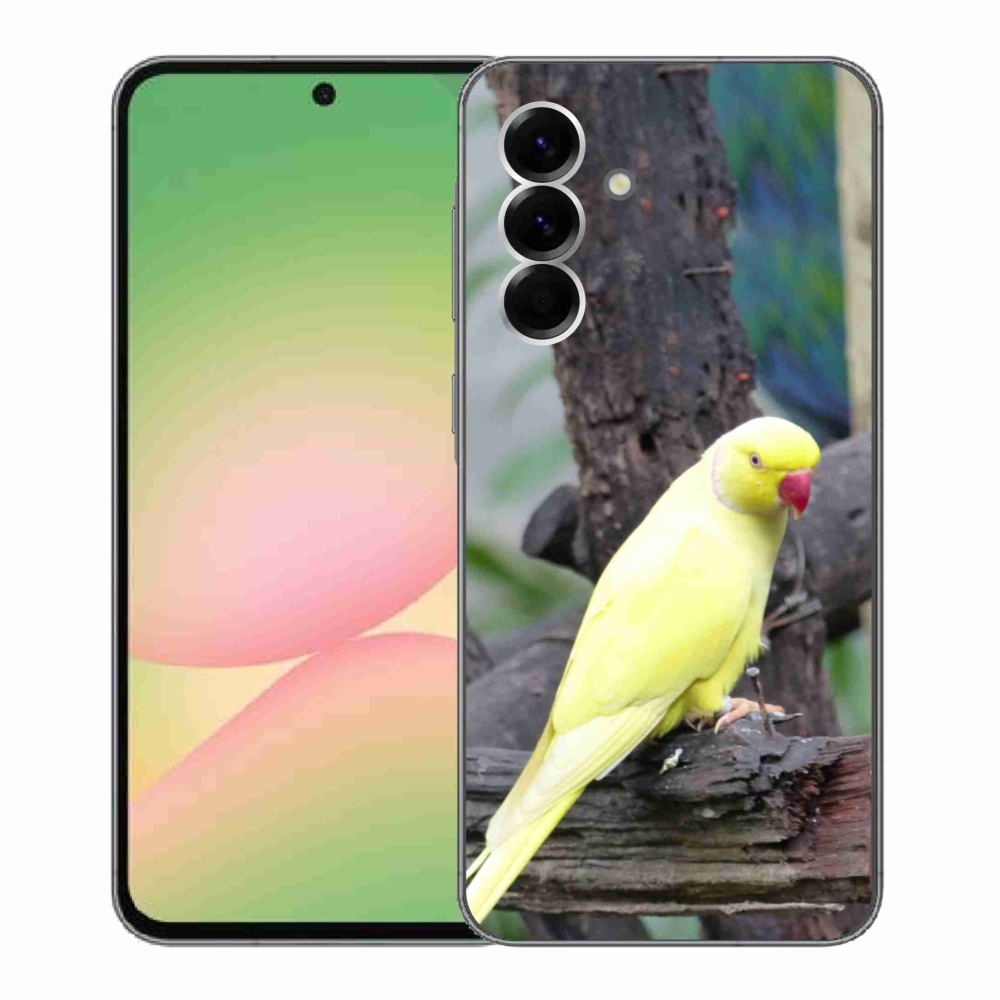 Zselés borítás mmCase Samsung Galaxy A56 5G - papagáj alexander sárga