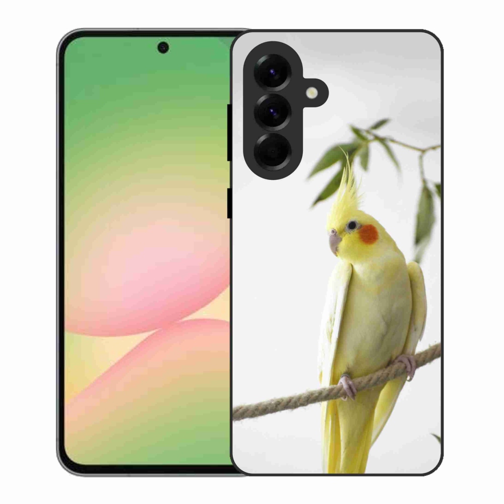 Gél borítás mmCase Samsung Galaxy A56 5G - papagáj korela chocholatá