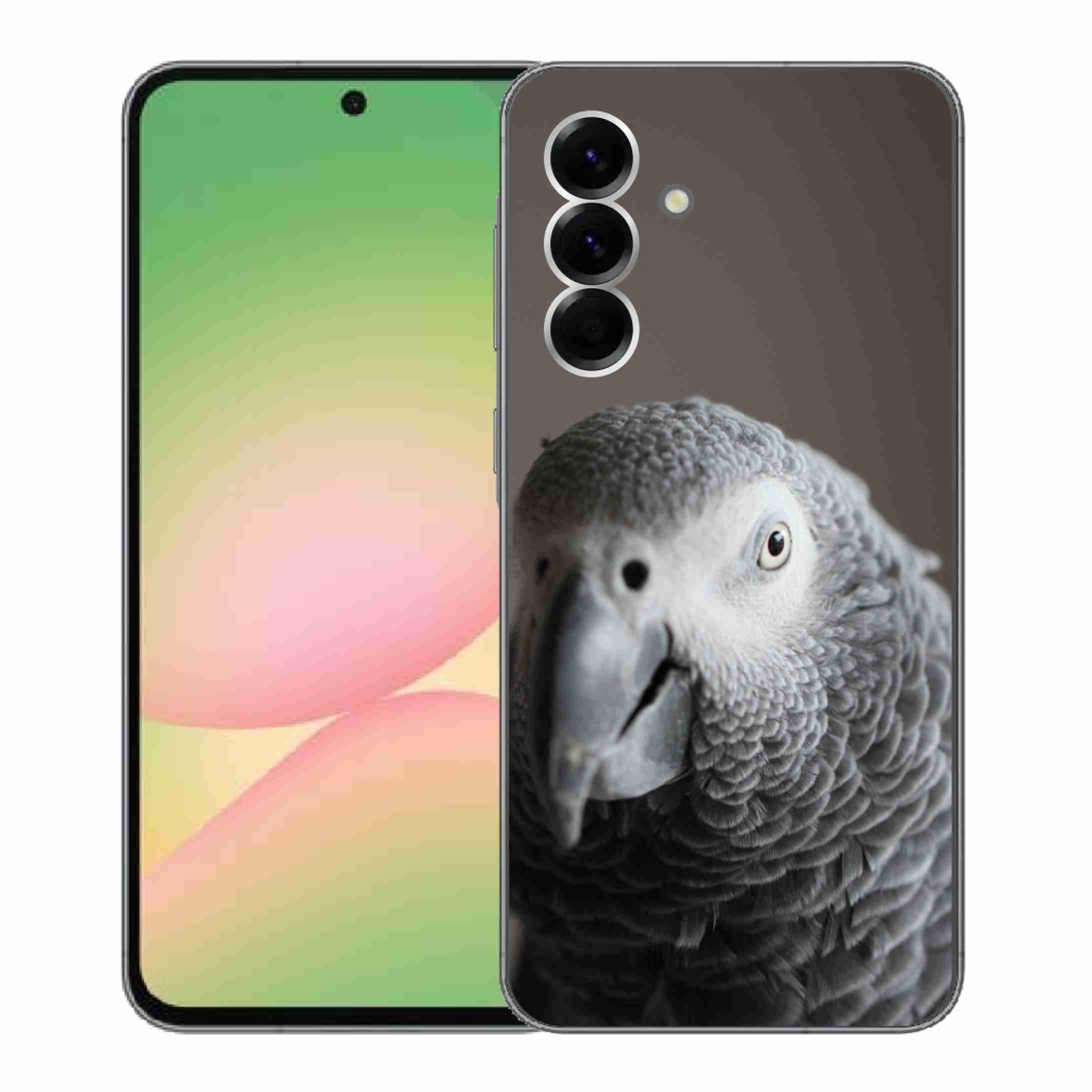 Zselés borítás mmCase Samsung Galaxy A56 5G - papagáj jacco 2