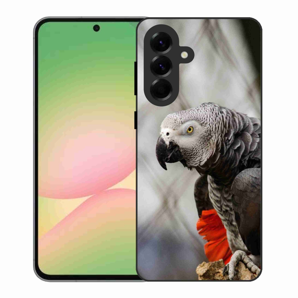 Zselés borítás mmCase Samsung Galaxy A56 5G - papagáj jacco 3