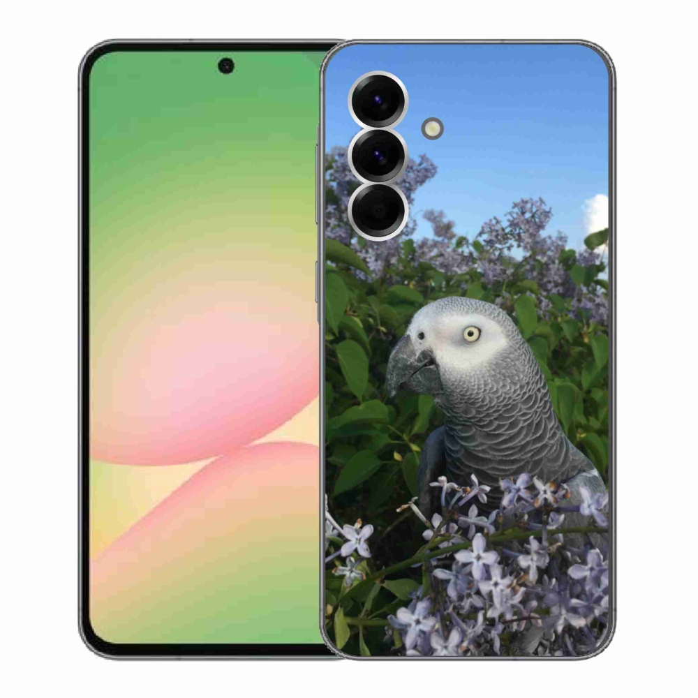 Gél borítás mmCase Samsung Galaxy A56 5G készülékhez - papagáj jacco