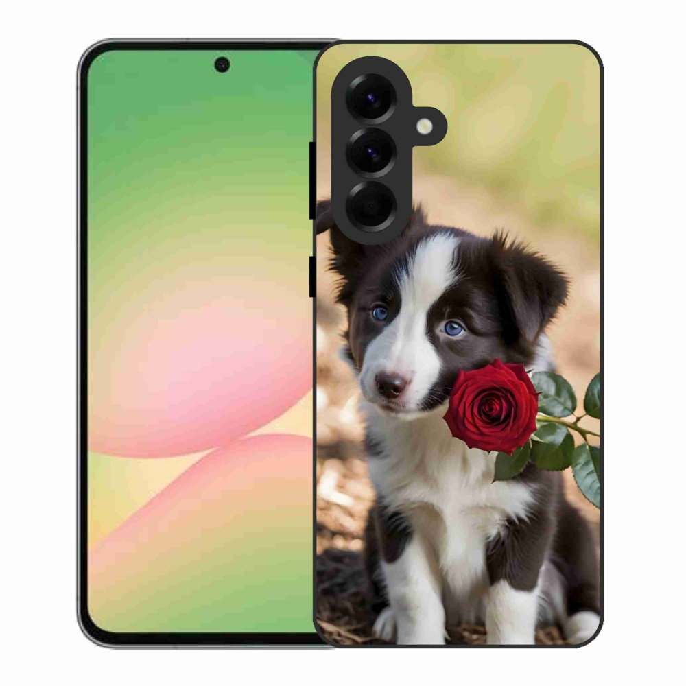 Gél borítás mmCase Samsung Galaxy A56 5G - aranyos border collie rózsával