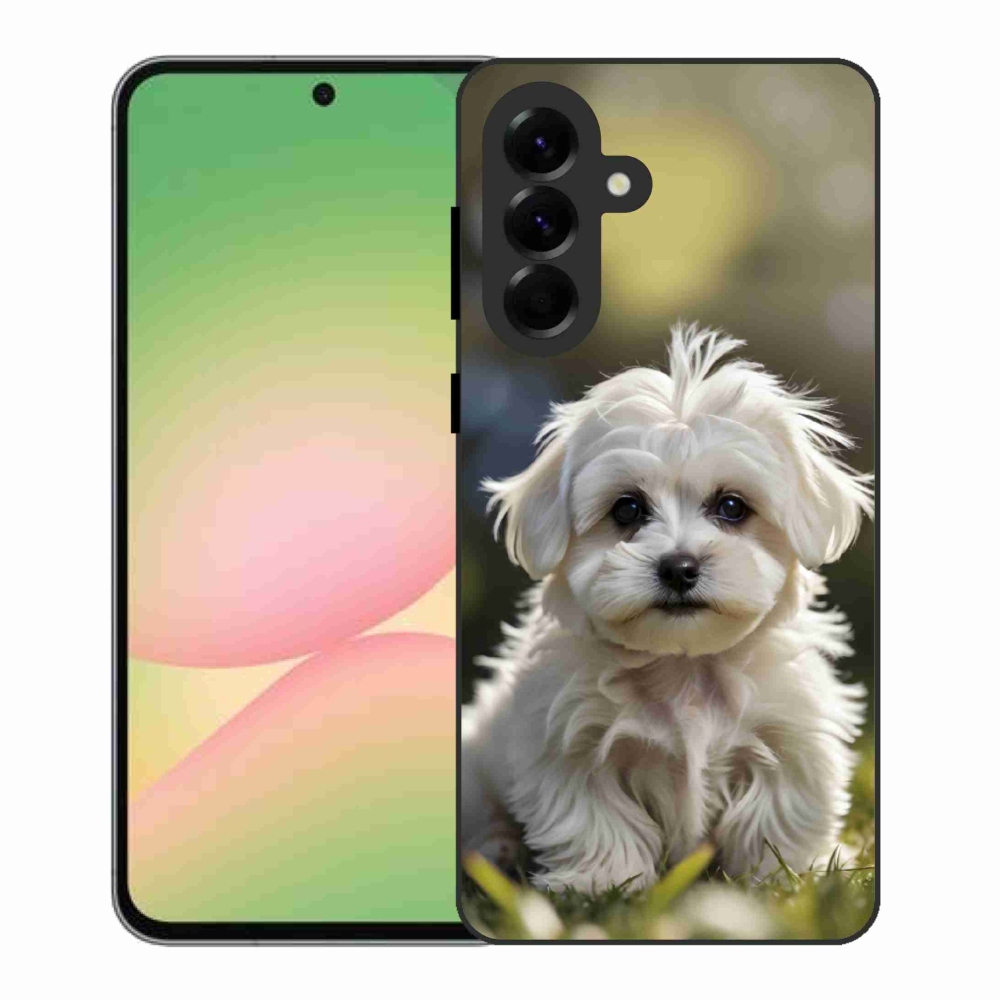 Gél borítás mmCase Samsung Galaxy A56 5G - aranyos máltai kutya